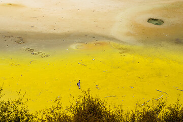 Image showing geothermal activity at Rotorua in New Zealand