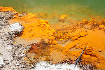 Image showing hot sparkling lake in New Zealand