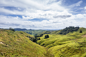 Image showing typical rural landscape in New Zealand