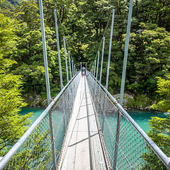 Image showing Haast River Landsborough Valley New Zealand