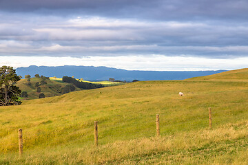 Image showing sunset landscape New Zealand north island