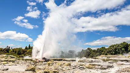 Image showing Geyser in New Zealand Rotorua