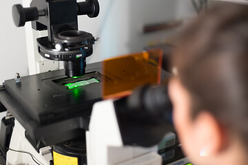 Image showing Life science researcher microscoping in genetic scientific laboratory.