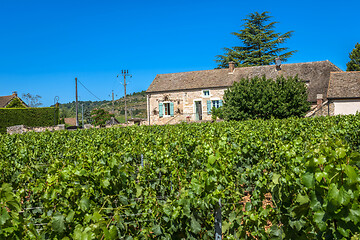 Image showing MEURSAULT, BURGUNDY, FRANCE - JULY 9, 2020: View to the winery in Meursault, Burgundy, France