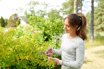 Image showing woman with pruner cutting bushes at summer garden