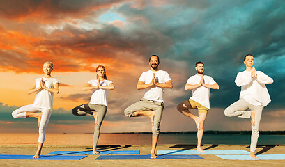 Image showing people making yoga in tree pose on mat outdoors