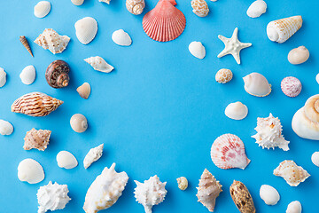 Image showing frame of different sea shells on blue background