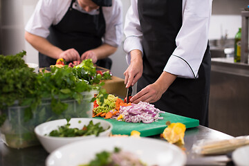 Image showing team cooks and chefs preparing meals