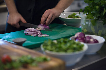 Image showing Chef  hands cutting the onion with knife