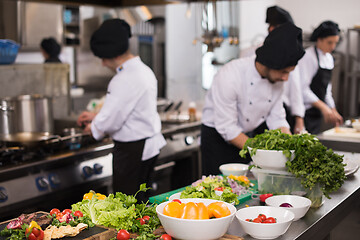 Image showing team cooks and chefs preparing meals