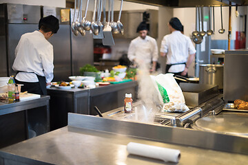 Image showing team cooks and chefs preparing meals