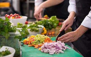 Image showing team cooks and chefs preparing meals