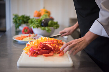 Image showing Chef cutting fresh and delicious vegetables