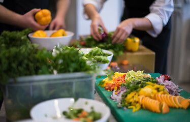 Image showing team cooks and chefs preparing meals