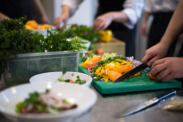 Image showing team cooks and chefs preparing meals