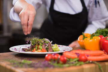 Image showing cook chef decorating garnishing prepared meal