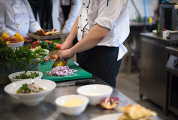 Image showing team cooks and chefs preparing meal