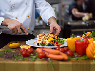 Image showing cook chef decorating garnishing prepared meal