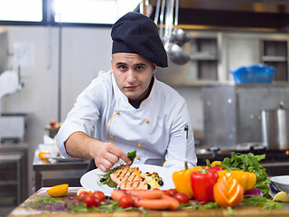 Image showing cook chef decorating garnishing prepared meal