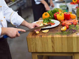 Image showing cook chef decorating garnishing prepared meal