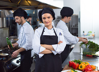 Image showing Portrait of young chef