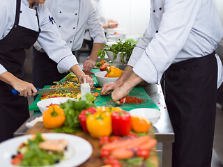 Image showing team cooks and chefs preparing meals