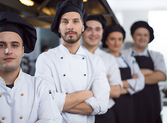 Image showing Portrait of group chefs