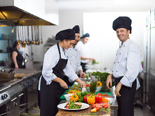 Image showing team cooks and chefs preparing meals