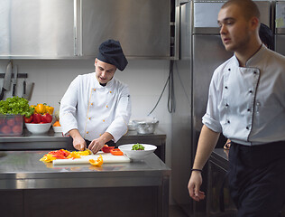 Image showing Chef cutting fresh and delicious vegetables