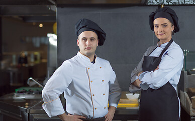 Image showing Portrait of two chefs