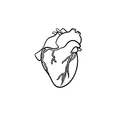 Image showing A heart hand drawn outline doodle icon.