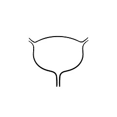 Image showing Urinary bladder hand drawn outline doodle icon.