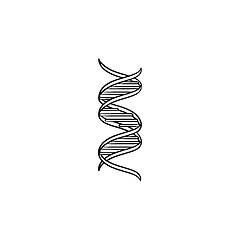 Image showing DNA genetic chain hand drawn outline doodle icon.