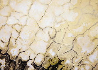 Image showing Cracks on a moldy wall