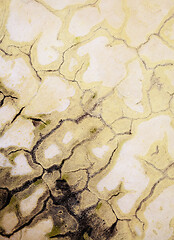 Image showing Cracks on a moldy wall