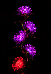 Image showing Flower lamp in a buddhist Temple, Vietnam