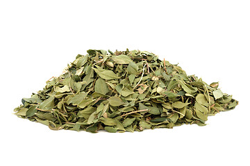 Image showing Buchu Herb Herbal Medicine