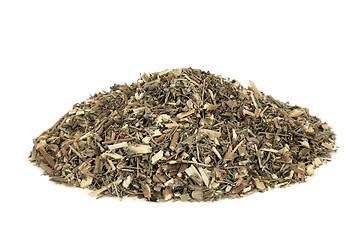 Image showing  Southernwood Herb Herbal Medicine 