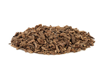 Image showing Valerian Herb Root Herbal Medicine