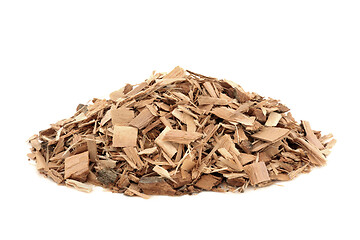 Image showing Poplar Bark Herb Herbal Medicine