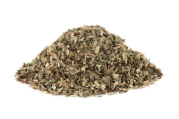 Image showing Mousear Herb