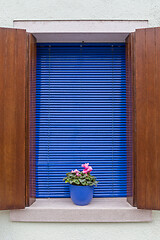 Image showing Window Flower Pot