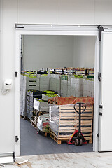 Image showing Pallet Jack Storage