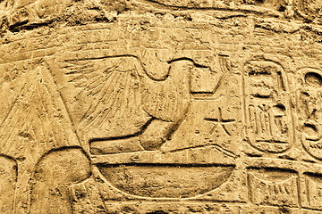 Image showing Ancient egyptian hieroglyphs in the Karnak Temple in Luxor