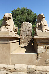 Image showing Statue of Ram Headed Sphinx in Karnak Temple, Luxor, Egypt