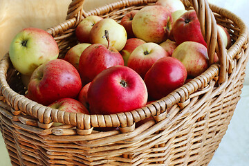 Image showing Close-up of bright ripe apples in a basket