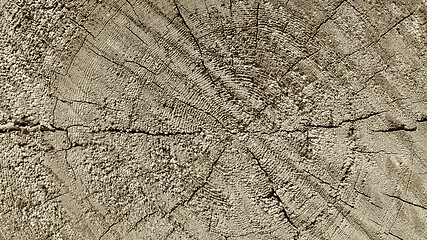 Image showing Natural wooden texture with rings and cracks pattern