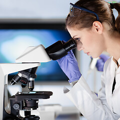 Image showing Life scientist researching in the laboratory.