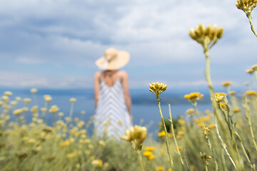 Image showing Rear view of young woman wearing striped summer dress and straw hat standing in super bloom of wildflowers, relaxing while enjoing beautiful view of Adriatic sea nature, Croatia