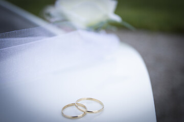 Image showing Wedding Rings